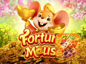 C77 BET login — configurações de segurança e proteção de conta